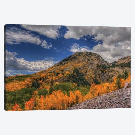 Color In The Clouds Canvas Print #SHL82} by Bill Sherrell Canvas Artwork