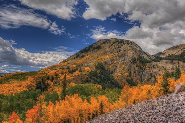 Bill Sherrell: Color In The Clouds by Bill Sherrell