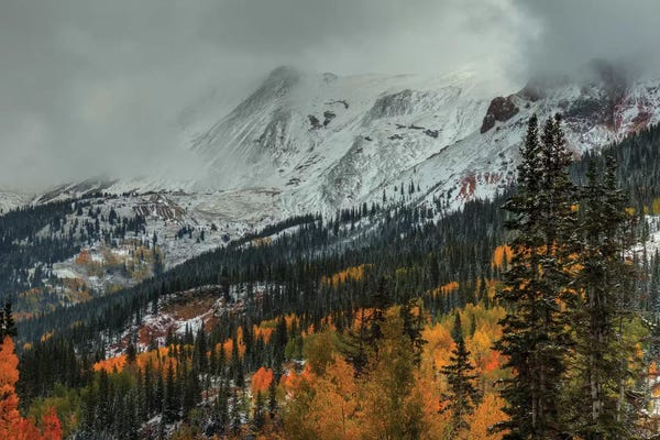 Evergreen Trees: Dark Storm Over Red Mountain Pass by Bill Sherrell