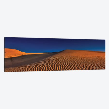 Dune Squiggles Canvas Print #SHL95} by Bill Sherrell Canvas Artwork
