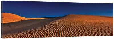 Dune Squiggles Canvas Art Print - Desert Art