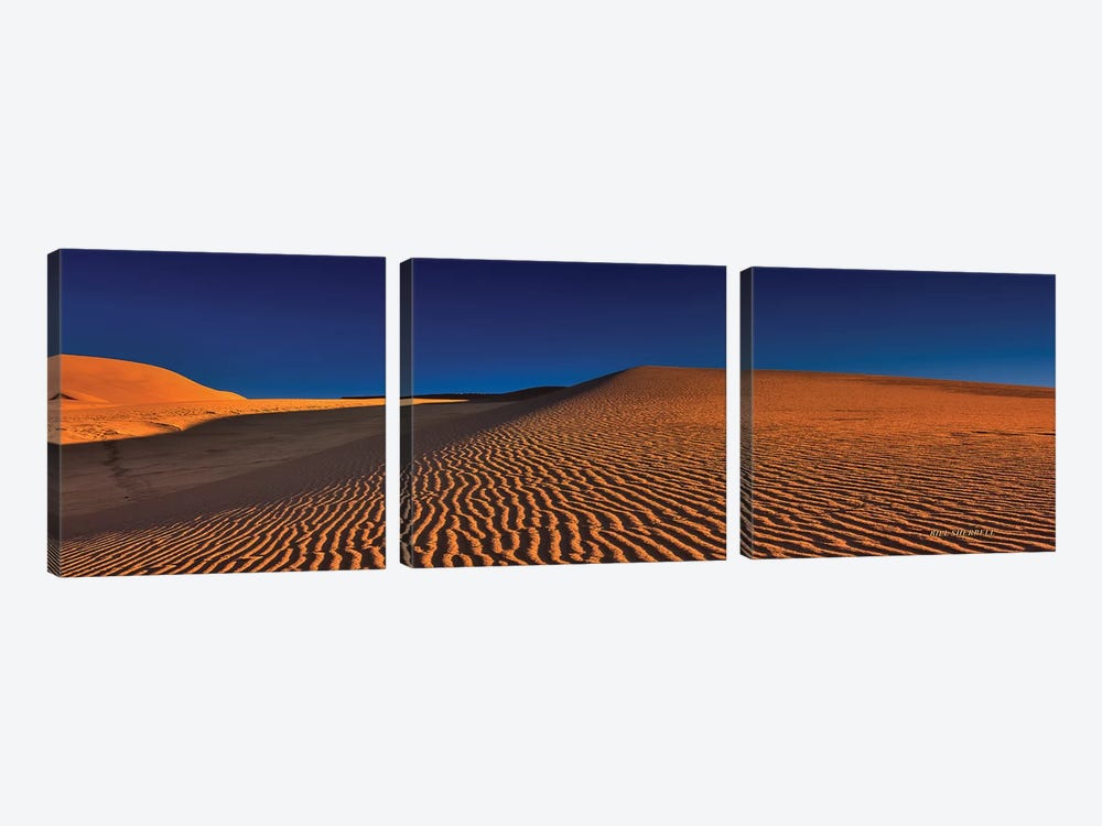 Dune Squiggles by Bill Sherrell 3-piece Canvas Print
