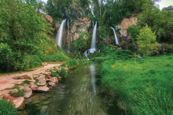 Bill Sherrell: Eden by Bill Sherrell