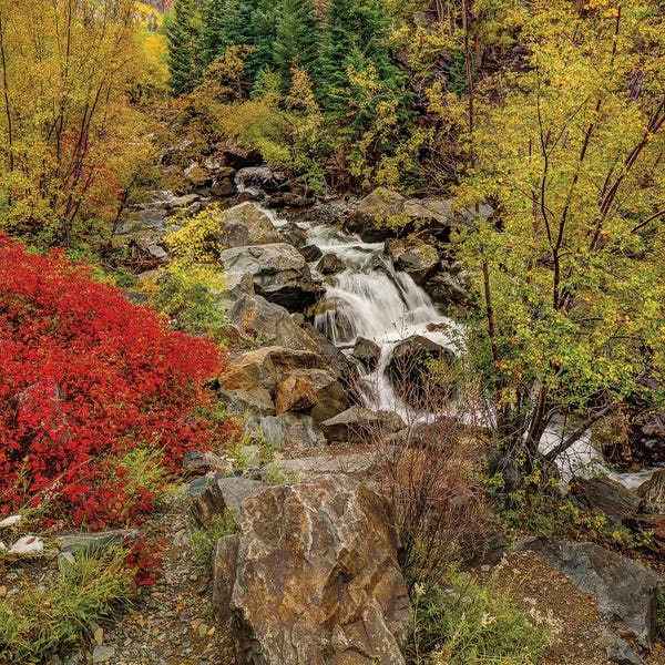 Bill Sherrell: Fall River by Bill Sherrell