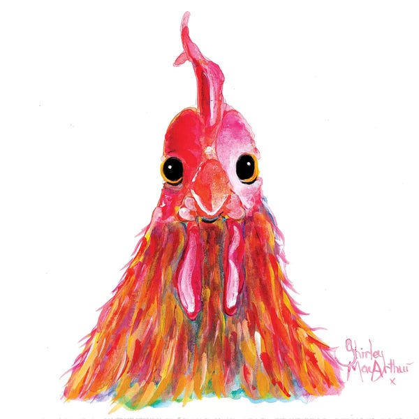 Chickens & Roosters: Queenie by Shirley Macarthur