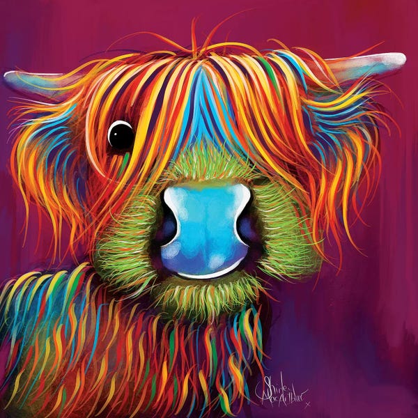 Shirley Macarthur: Stanley The Tartan Coo by Shirley Macarthur