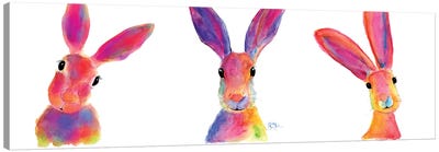 The Happy Hares Canvas Art Print - Shirley Macarthur