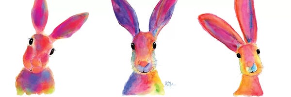 Rabbits: The Happy Hares by Shirley Macarthur