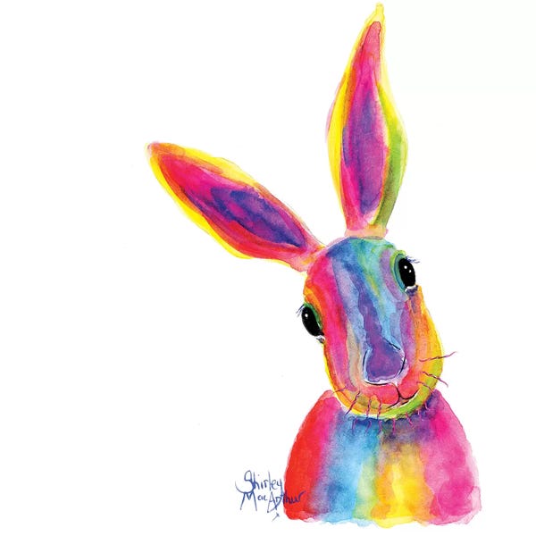 Rabbits: Ziggy by Shirley Macarthur