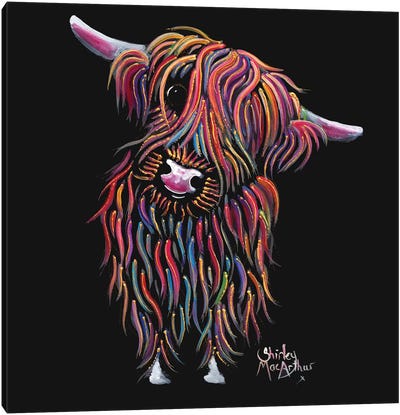 Bolly Canvas Art Print - Highland Cow Art