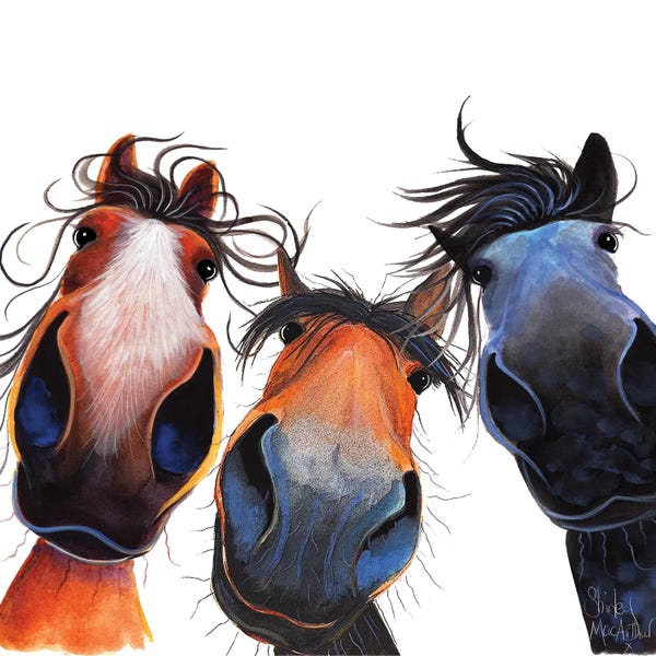 Horses: Who Left The Gate Open ? by Shirley Macarthur