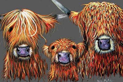 We 3 Coos On Grey by Shirley Macarthur framed wall art