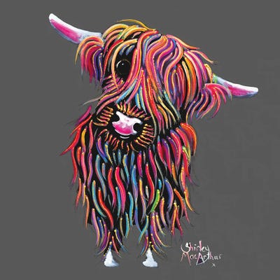 Bolly On Grey by Shirley Macarthur framed wall art