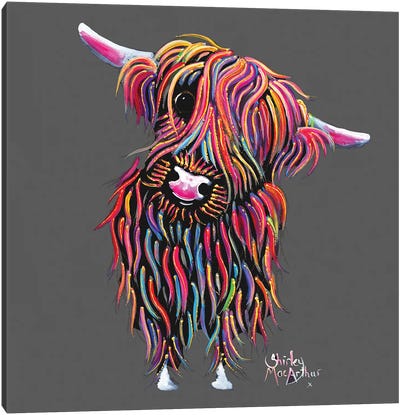 Bolly On Grey Canvas Art Print - Highland Cow Art