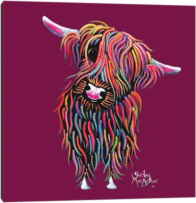 Bolly On Magenta Canvas Art Print - Highland Cow Art