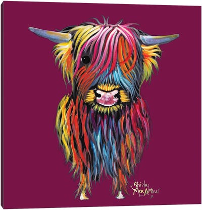 Braveheart On Magenta Canvas Art Print - Highland Cow Art