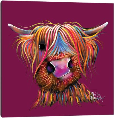 Bruce On Magenta Canvas Art Print - Highland Cow Art