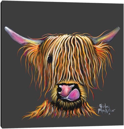 Bryan On Grey Canvas Art Print - Highland Cow Art