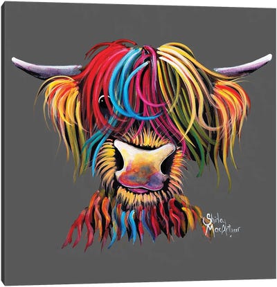 Nelly On Grey Canvas Art Print - Highland Cow Art