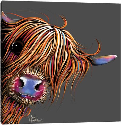 Sugar Lump On Grey Canvas Art Print - Highland Cow Art