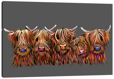 The Hairy Bunch Of Coos On Grey Canvas Art Print - Highland Cow Art