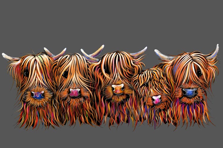 The Hairy Bunch Of Coos On Grey by Shirley Macarthur wall art