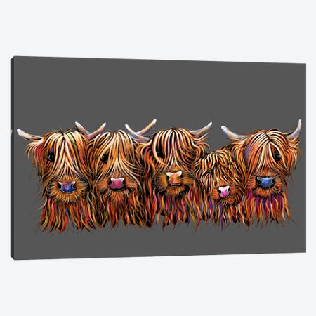 The Hairy Bunch Of Coos On Grey Canvas Print #SHM131} by Shirley Macarthur Canvas Wall Art