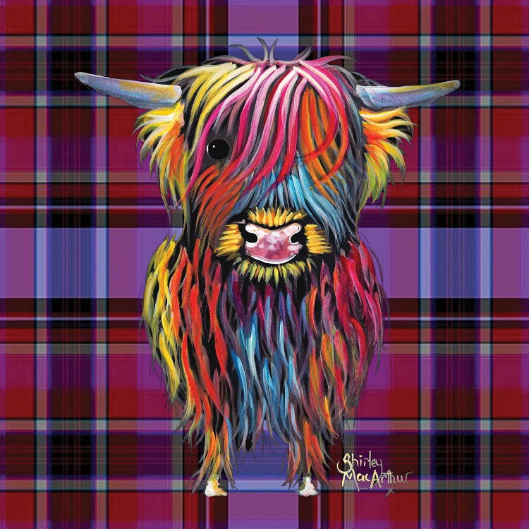 Braveheart Tartan