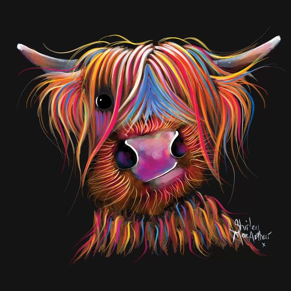 Shirley Macarthur: Bruce by Shirley Macarthur