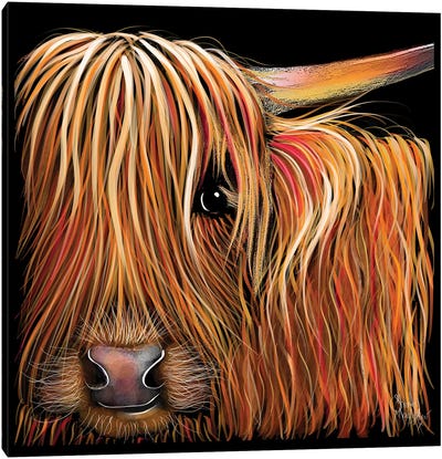 Butternut Canvas Art Print - Highland Cow Art
