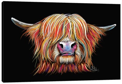Charmer! Canvas Art Print - Highland Cow Art