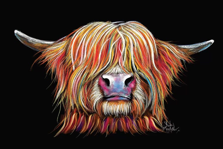 Charmer! by Shirley Macarthur wall art