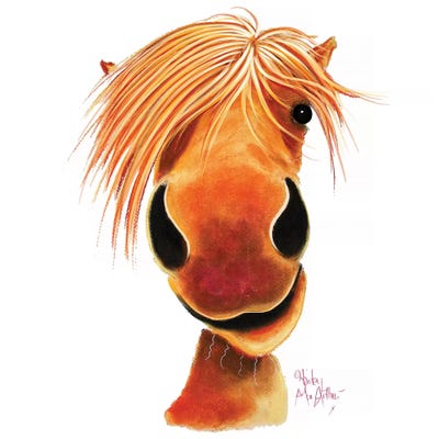 Ginger Nut by Shirley Macarthur metal wall art