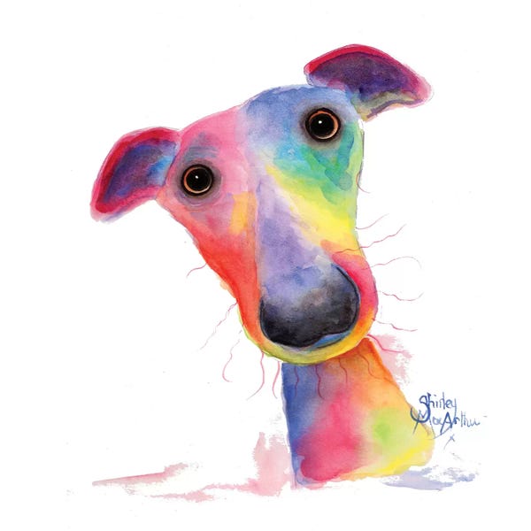 Shirley Macarthur: Hank by Shirley Macarthur