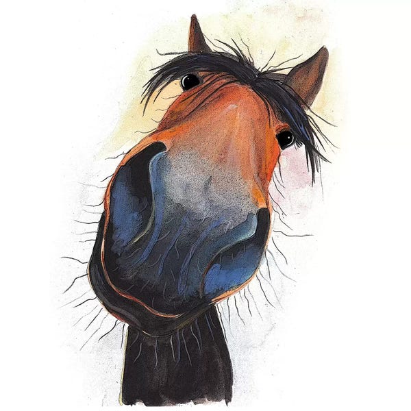 Horses: Happy Dave by Shirley Macarthur