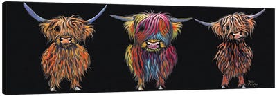 All Three Canvas Art Print - Highland Cow Art