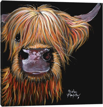 Henry Canvas Art Print - Highland Cow Art