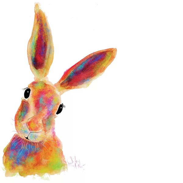 Rabbits: Jim Jam II by Shirley Macarthur