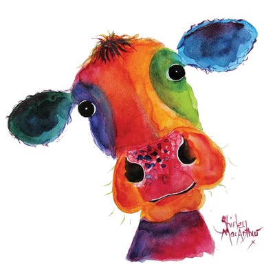 Mr Hippy by Shirley Macarthur framed wall art