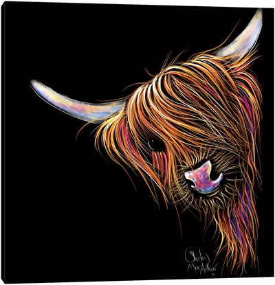 Noodles Canvas Art Print - Highland Cow Art