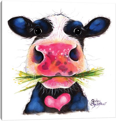 Rocky Canvas Art Print - Cow Art