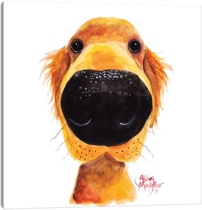 Roy The Retriever Canvas Art Print - Animal Humor Art
