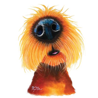 Smells Like Sunshine by Shirley Macarthur framed wall art