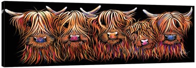 The Hairy Bunch Of Coos Canvas Art Print - Shirley Macarthur