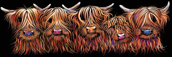 Animal Humor: The Hairy Bunch Of Coos by Shirley Macarthur