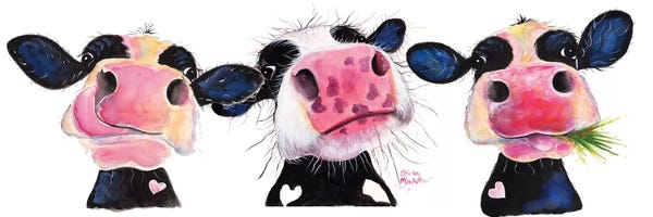 Farm Animals: The Nosey Cows by Shirley Macarthur