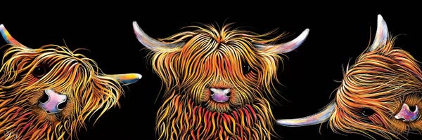 Shirley Macarthur: The Scotties by Shirley Macarthur