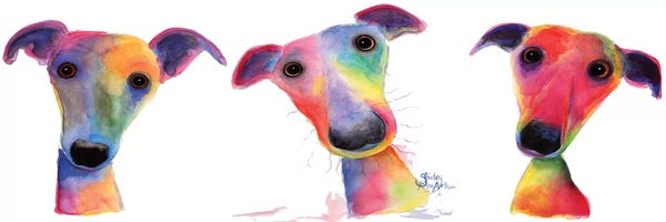Shirley Macarthur: The Wacky Whippets by Shirley Macarthur
