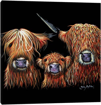 We 3 Coos on Black Canvas Art Print - Highland Cow Art