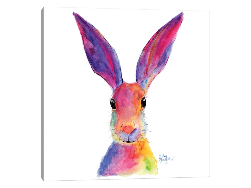 Jelly Bean Square ( Animals > Wildlife > Rabbits art) - 24x24x1